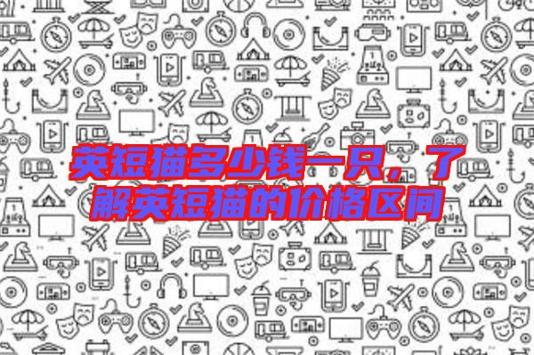英短貓多少錢一只，了解英短貓的價格區(qū)間