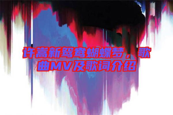 許嵩新鴛鴦蝴蝶夢，歌曲MV及歌詞介紹