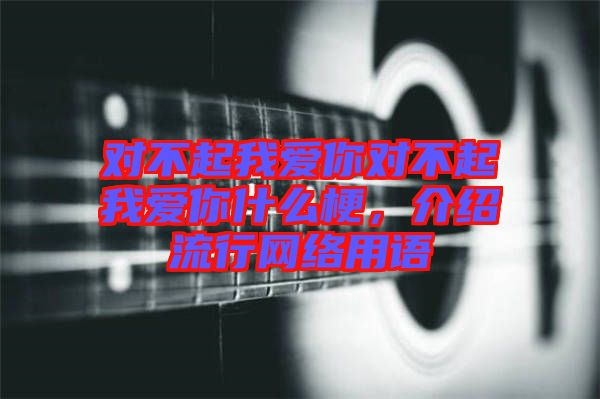 對(duì)不起我愛你對(duì)不起我愛你什么梗，介紹流行網(wǎng)絡(luò)用語