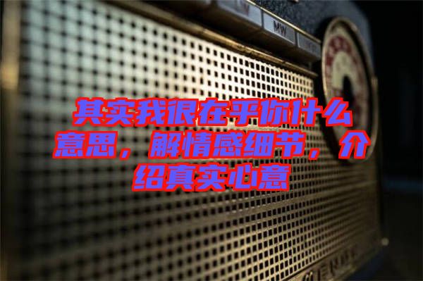 其實我很在乎你什么意思，解情感細節(jié)，介紹真實心意
