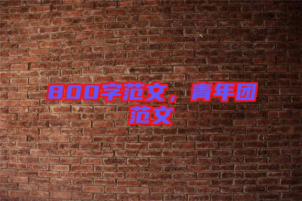 800字范文，青年團(tuán)范文