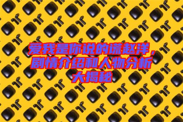 愛我是你說的謊趙洋，劇情介紹和人物分析大揭秘
