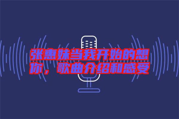 張惠妹當我開始的想你，歌曲介紹和感受