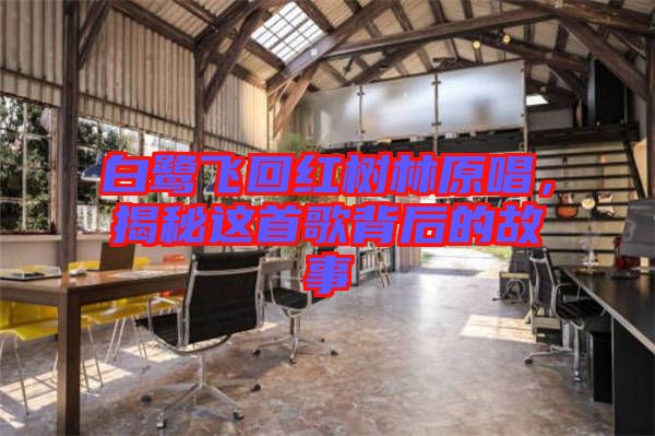白鷺飛回紅樹林原唱，揭秘這首歌背后的故事