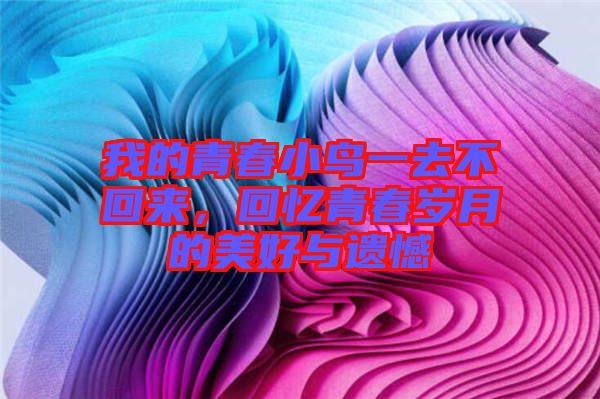 我的青春小鳥一去不回來，回憶青春歲月的美好與遺憾