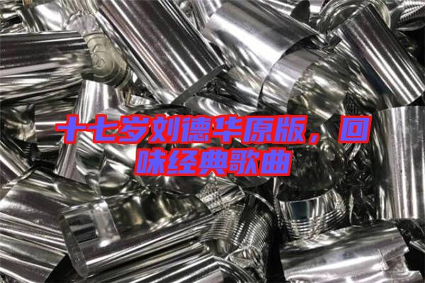 十七歲劉德華原版，回味經(jīng)典歌曲