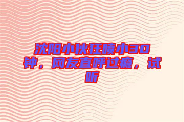 沈陽(yáng)小伙狂噴小30鐘，網(wǎng)友直呼過(guò)癮，試聽(tīng)