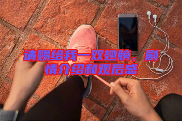 請(qǐng)賜給我一雙翅膀，劇情介紹和觀后感