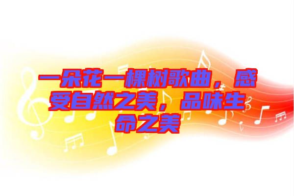 一朵花一棵樹(shù)歌曲，感受自然之美，品味生命之美
