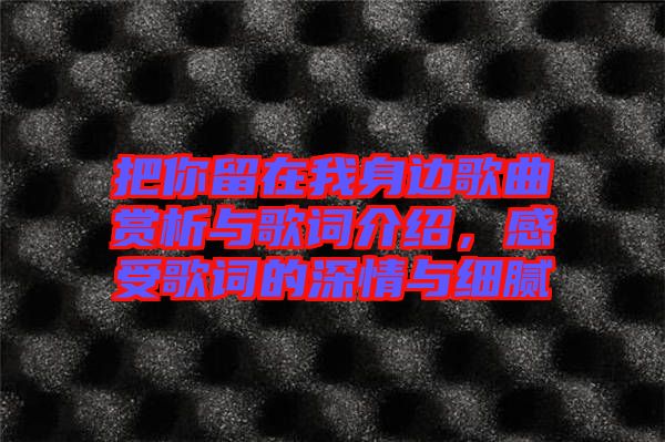 把你留在我身邊歌曲賞析與歌詞介紹，感受歌詞的深情與細(xì)膩