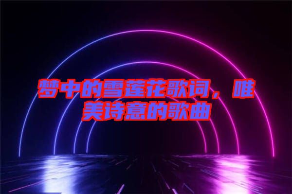 夢中的雪蓮花歌詞，唯美詩意的歌曲