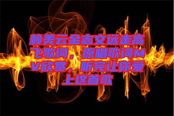 賴美云金志文遠(yuǎn)走高飛歌詞，原唱歌詞MV欣賞，聽完讓你愛上這首歌