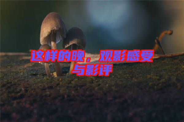 這樣的晚，觀影感受與影評