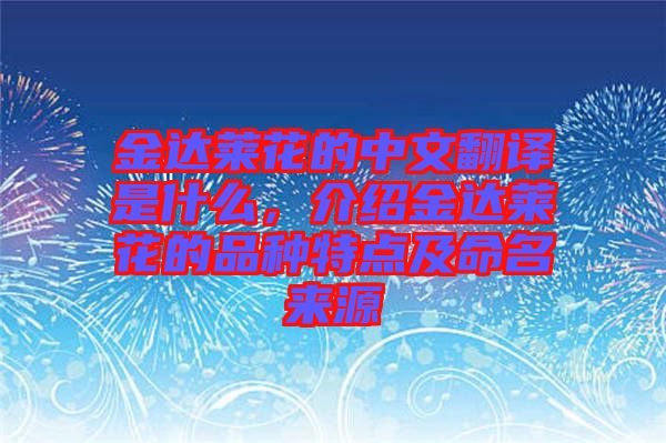 金達(dá)萊花的中文翻譯是什么，介紹金達(dá)萊花的品種特點(diǎn)及命名來源