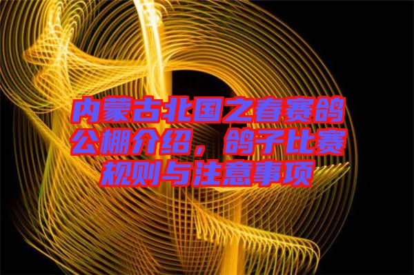 內(nèi)蒙古北國之春賽鴿公棚介紹，鴿子比賽規(guī)則與注意事項