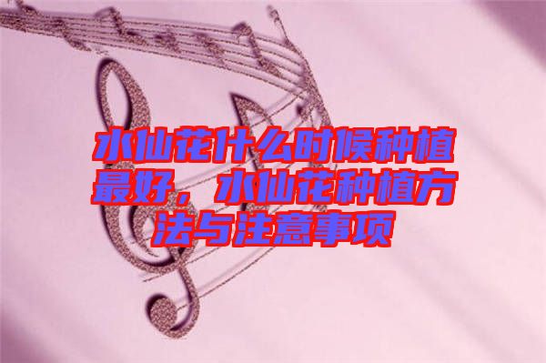 水仙花什么時候種植最好，水仙花種植方法與注意事項