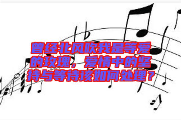 曾經(jīng)北風(fēng)吹我是等愛(ài)的玫瑰，愛(ài)情中的堅(jiān)持與等待該如何處理？