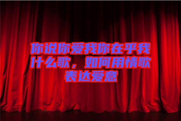 你說(shuō)你愛我你在乎我什么歌，如何用情歌表達(dá)愛意