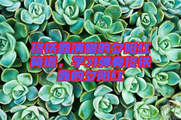 佟鐵鑫演唱的夕陽(yáng)紅簡(jiǎn)譜，學(xué)習(xí)彈奏佟鐵鑫的夕陽(yáng)紅