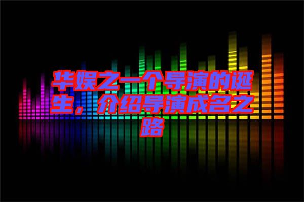 華娛之一個(gè)導(dǎo)演的誕生，介紹導(dǎo)演成名之路