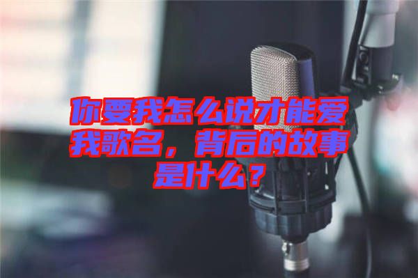 你要我怎么說(shuō)才能愛(ài)我歌名，背后的故事是什么？
