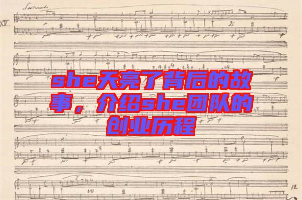 she天亮了背后的故事，介紹she團(tuán)隊(duì)的創(chuàng)業(yè)歷程