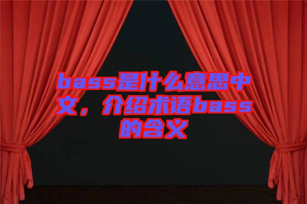 bass是什么意思中文，介紹術(shù)語(yǔ)bass的含義