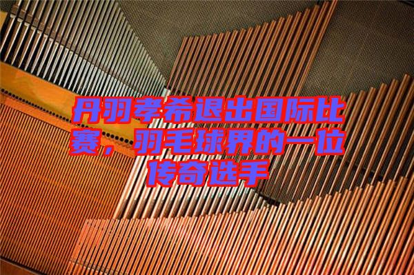 丹羽孝希退出國(guó)際比賽，羽毛球界的一位傳奇選手
