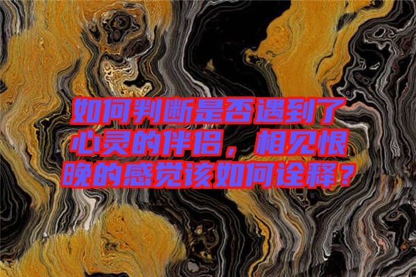 如何判斷是否遇到了心靈的伴侶，相見恨晚的感覺該如何詮釋？
