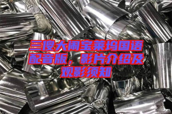 三傻大鬧寶萊塢國語配音版，影片介紹及觀影須知