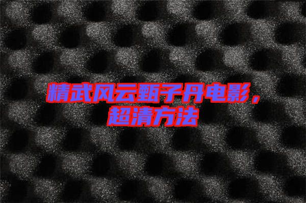 精武風云甄子丹電影，超清方法