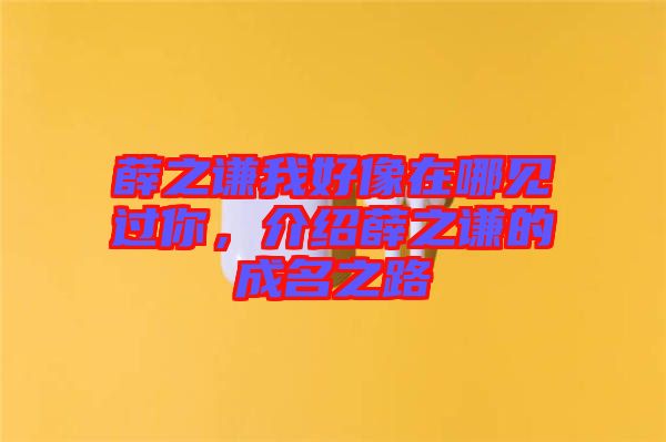 薛之謙我好像在哪見過你，介紹薛之謙的成名之路
