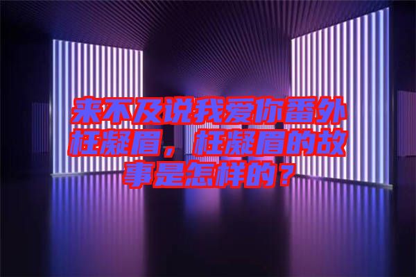 來(lái)不及說(shuō)我愛(ài)你番外枉凝眉，枉凝眉的故事是怎樣的？