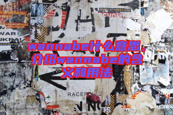 wannabe什么意思，介紹wannabe的含義和用法