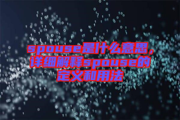 spouse是什么意思，詳細(xì)解釋spouse的定義和用法