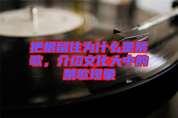 把根留住為什么是禁歌，介紹文化大中的禁歌現(xiàn)象