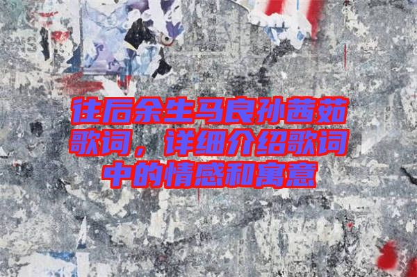 往后余生馬良孫茜茹歌詞，詳細介紹歌詞中的情感和寓意