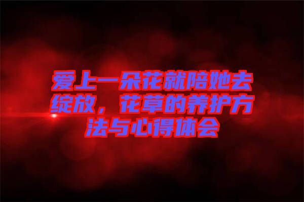 愛上一朵花就陪她去綻放，花草的養(yǎng)護方法與心得體會