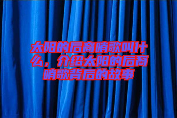 太陽(yáng)的后裔哨歌叫什么，介紹太陽(yáng)的后裔哨歌背后的故事