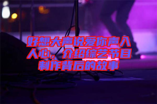 好想大聲說(shuō)愛(ài)你聲入人心，介紹綜藝節(jié)目制作背后的故事