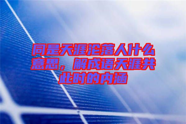 同是天涯淪落人什么意思，解成語天涯共此時的內(nèi)涵