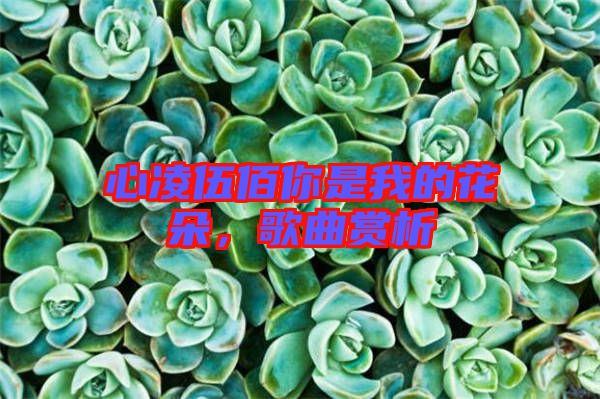 心凌伍佰你是我的花朵，歌曲賞析