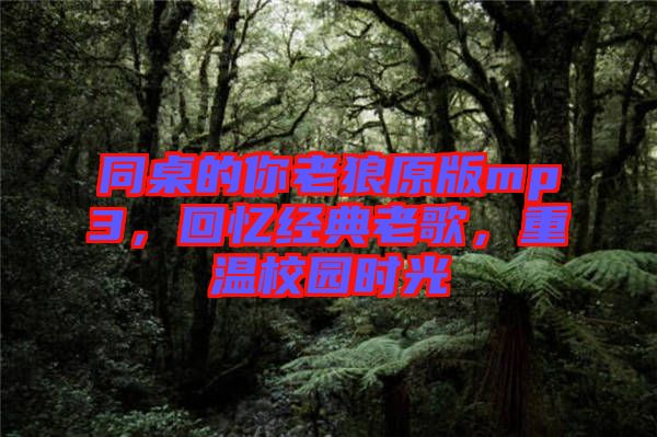 同桌的你老狼原版mp3，回憶經(jīng)典老歌，重溫校園時(shí)光