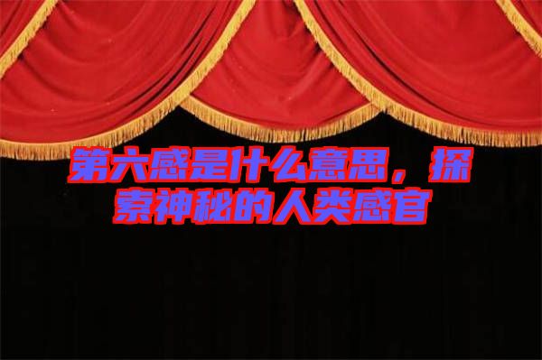 第六感是什么意思，探索神秘的人類感官