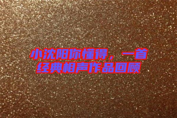 小沈陽你懂得，一首經(jīng)典相聲作品回顧
