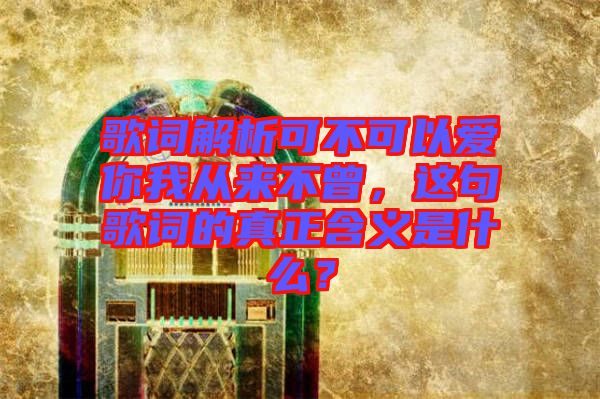 歌詞解析可不可以愛(ài)你我從來(lái)不曾，這句歌詞的真正含義是什么？