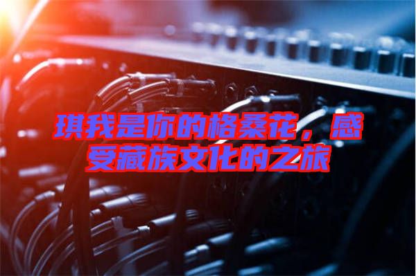 琪我是你的格?；?，感受藏族文化的之旅