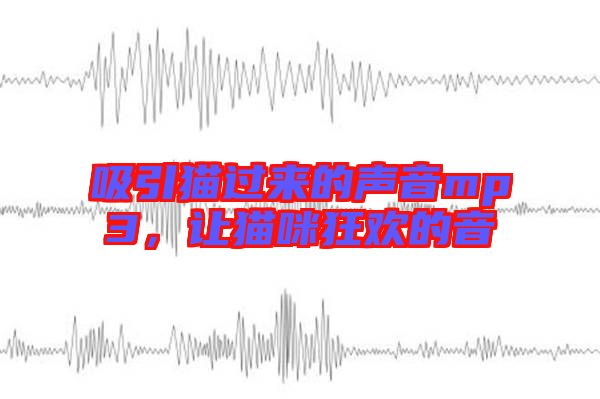 吸引貓過來的聲音mp3，讓貓咪狂歡的音
