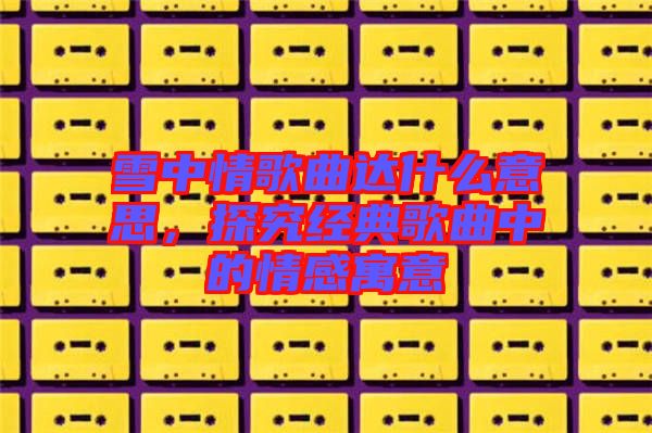 雪中情歌曲達(dá)什么意思，探究經(jīng)典歌曲中的情感寓意