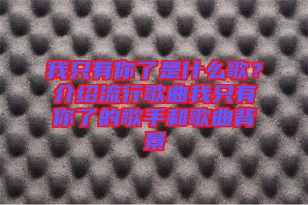 我只有你了是什么歌？介紹流行歌曲我只有你了的歌手和歌曲背景
